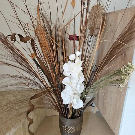 Apartment Corfu Alina's *