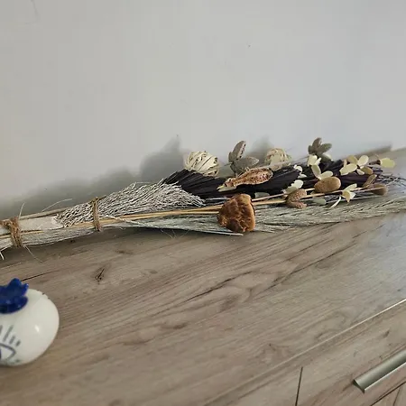 Apartment Corfu Alina's