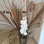 Appartement Corfu Alina's *